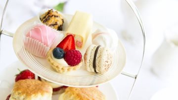 Join us for afternoon tea at Elmwood House care home in Boston